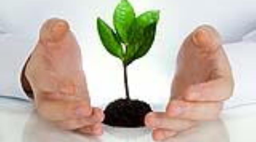 مراقبت از خود