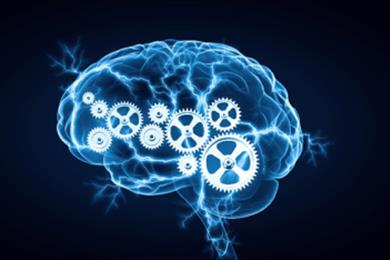 روانشناسی موفقیت افسانه کرمی در کرج