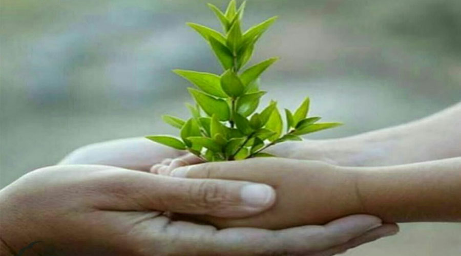 لذت یک دست بودن