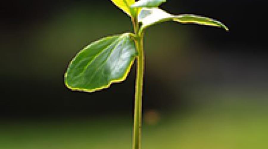 ما تربیت نشده ایم!